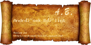 Andrásek Bálint névjegykártya