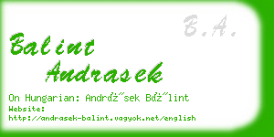 balint andrasek business card